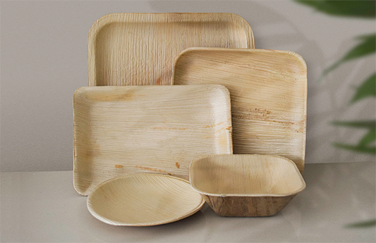 palm leaf trays